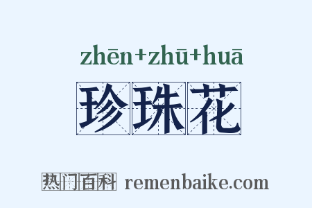 珍珠花是什么意思的图片
